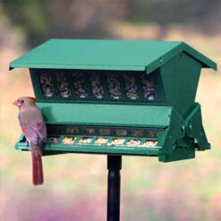 Twice The Treats Bird Feeder With Pole & Hanger