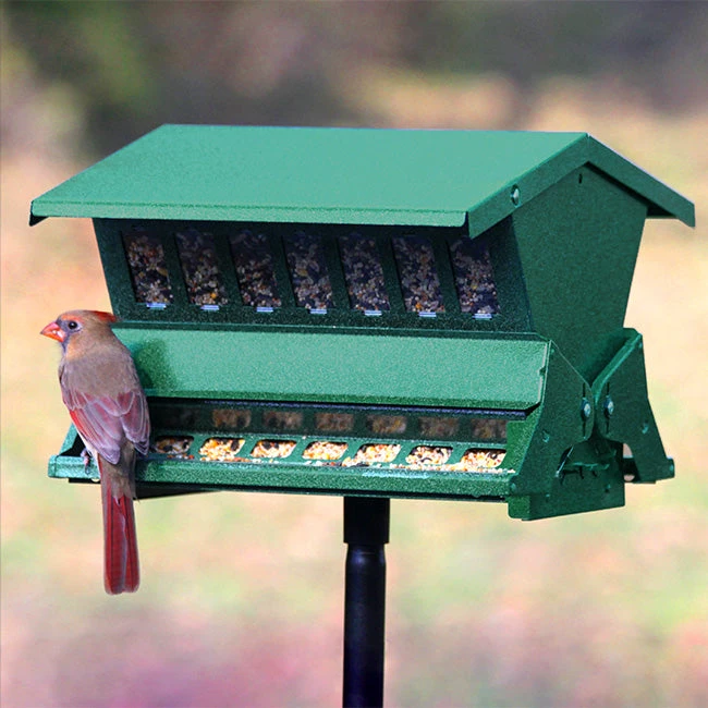 Twice The Treats Speckled Green All-Metal Bird Feeder β Squirrel-Proof Weight-Sensitive Pole & Hanger System 3 Twice The Treats Speckled Green All-Metal Bird Feeder β Squirrel-Proof Weight-Sensitive Pole & Hanger System