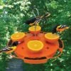 Ultimate Oriole Feeder 1 Ultimate Oriole Feeder -The Birdhouse Chick Ultimate Oriole Feeder