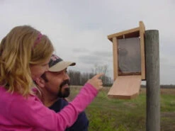 View Thru Bluebird House-NABS Approved -The Birdhouse Chick View Thru Bluebird House with Mark and Mary 6fd86d2f a75d 4eeb 80df 311db5eaa676