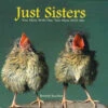 Just Sisters Gift Book 2 Just Sisters Gift Book -The Birdhouse Chick WC978.sisters smll
