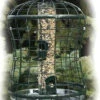 Caged Squirrel Proof Bird Feeder with Seed Catching Tray – Elegant Metal Guard Hanging Tube Feeder 1 Caged Squirrel Proof Bird Feeder with Seed Catching Tray – Elegant Metal Guard Hanging Tube Feeder -The Birdhouse Chick WLTUBE10new