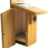 Western & Mountain Bluebird House- NABS Approved -The Birdhouse Chick Western Mountain Bluebird House