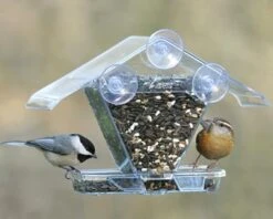 Window Wonderland Bird Feeder