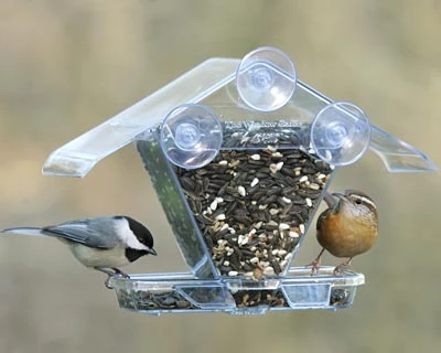Window Wonderland Bird Feeder