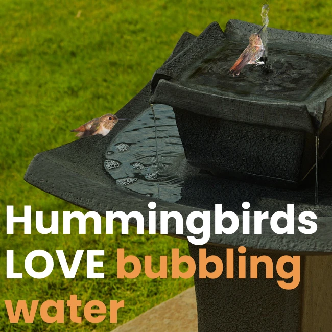 Zen Oasis Solar Fountain 4 Zen Oasis Solar Fountain - Image 2