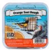 Zesty Orange Suet Dough – 12 Oz. -The Birdhouse Chick ZestyOrangeSuetDough