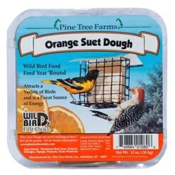 Zesty Orange Suet Dough – 12 Oz.