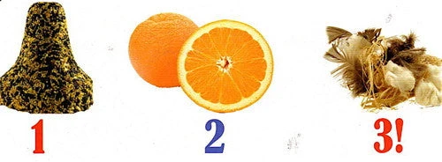 Birdie Bell Nester And Feeder 4 Birdie Bell Nester And Feeder - Image 2