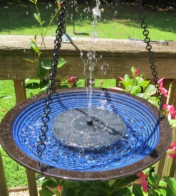 Solar Bird Bath With Stand 9 Solar Bird Bath With Stand -The Birdhouse Chick blue ceramic solar bird bath 8c71c4ec 91e8 4be7 9646 6baae3ee43be