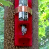Bottle Bird Feeder -The Birdhouse Chick bottle bird feeder 17ecf656 d0cc 443e 9440 8d95be9fae85