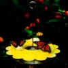 Flutterby Butterfly Feeder - Dual Nectar and Fruit Hanging Feeder with Built-in Ant Moat