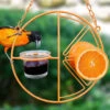 Clementine Oriole Feeder -The Birdhouse Chick clementine 2C