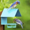 Fence-Post Bluebird Feeder- Blue Or Orange -The Birdhouse Chick fence post bird feeder blue