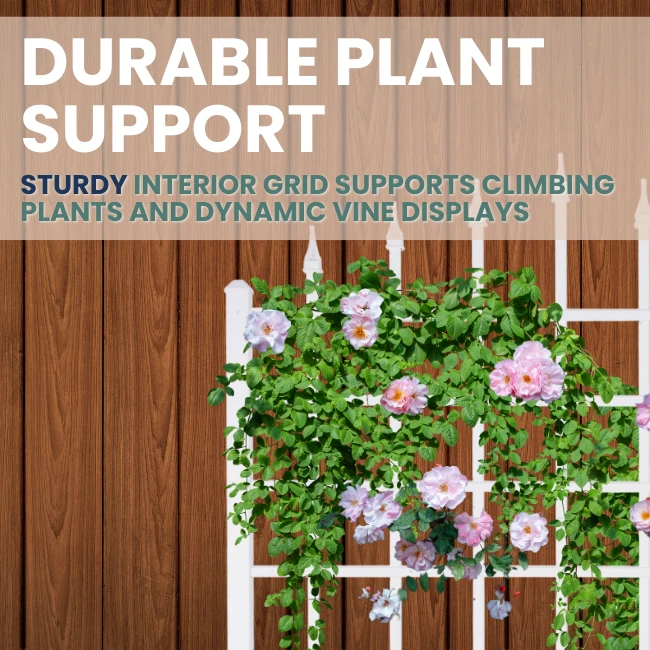 The Grand Trellis 5 The Grand Trellis - Image 3