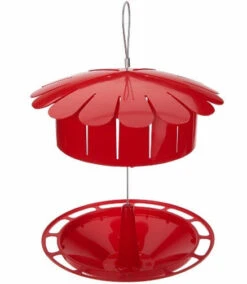 Humm-Bug Protein Hummingbird Feeder -The Birdhouse Chick hum bug hummingbird feeder
