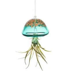Jellyfish Air Plant Hangers Set/3 9 Jellyfish Air Plant Hangers Set/3 -The Birdhouse Chick jellyfish air plant hanger green