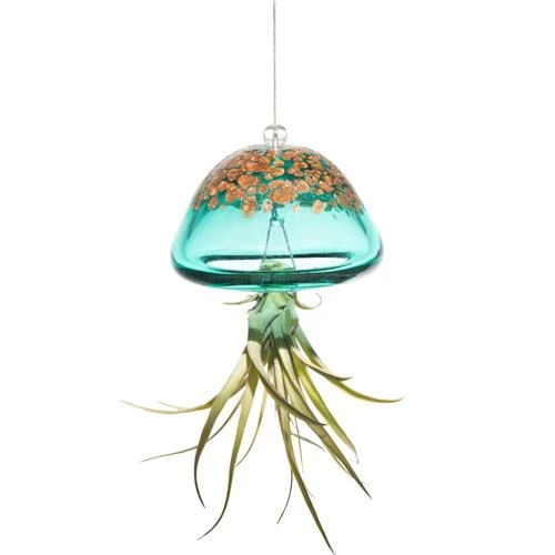 Jellyfish Air Plant Hangers Set/3 6 Jellyfish Air Plant Hangers Set/3 - Image 4