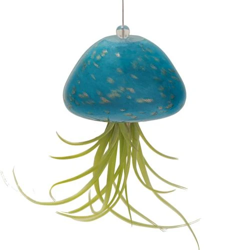 Jellyfish Air Plant Hangers Set/3 5 Jellyfish Air Plant Hangers Set/3 - Image 3