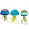 Jellyfish Air Plant Hangers Set/3 2 Jellyfish Air Plant Hangers Set/3 -The Birdhouse Chick jellyfish air plant hangers