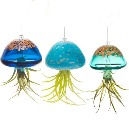 Jellyfish Air Plant Hangers Set/3 3 Jellyfish Air Plant Hangers Set/3