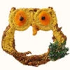 Big Owl Bird Seed Treat – Grapevine Form with Dried Apricots & Blueberries