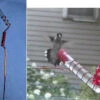 Charmer Hand-Held Hummingbird Feeder Set -The Birdhouse Chick jpeg c233502a 4b00 42c1 99fb 4dba92d2fac4
