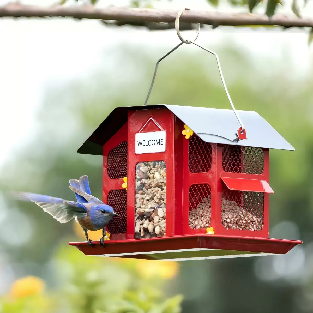 The Birdhouse Chick -The Birdhouse Chick kybf143cp01 1 new 686745414f8f8