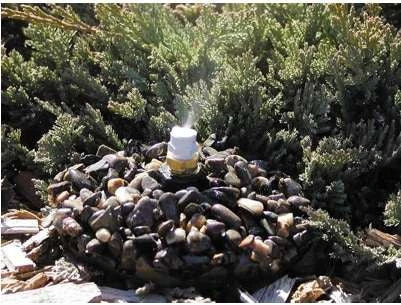 Leaf Mister with Natural Rock Base β Low-Flow Fine Mist Birdbath & Garden Accessory 6 Leaf Mister with Natural Rock Base β Low-Flow Fine Mist Birdbath & Garden Accessory - Image 4