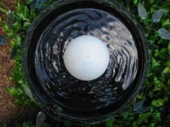 Water Wiggler for Birdbaths – Battery Operated Water Agitator & Mosquito Deterrent 7 Water Wiggler for Birdbaths – Battery Operated Water Agitator & Mosquito Deterrent -The Birdhouse Chick new wiggler 3c3b55ad cedd 4ba3 9ddc a6b502d6c4c2