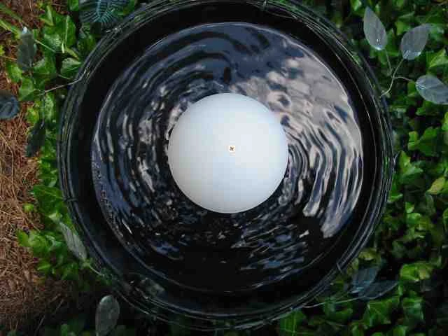 Water Wiggler for Birdbaths – Battery Operated Water Agitator & Mosquito Deterrent 5 Water Wiggler for Birdbaths – Battery Operated Water Agitator & Mosquito Deterrent - Image 3