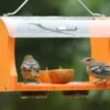 Recycled Fruit & Jelly Oriole Feeder -The Birdhouse Chick octet stream 411e1224 6288 4dea 81a4 0a9fac0da9b8