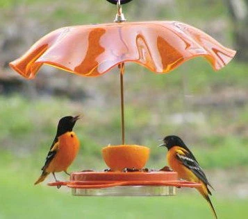 Acrylic Weather Guard-4 Colors 3 Acrylic Weather Guard-4 Colors