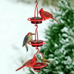 Orb Red Modern Steel & Glass Multi-Use Bird Feeder – Vertical Linking Mealworm & Jelly Feeder -The Birdhouse Chick orb bird feeder 3 shown