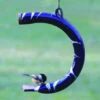 Solo Bird Feeder 2 Solo Bird Feeder -The Birdhouse Chick pd blue 0 b401be32 a56c 4bc6 a529 99b2be7d7678