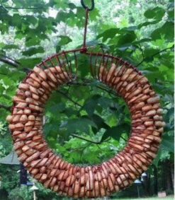 Green Whole Peanut Wreath Bird Feeder – Durable Metal Coil Design for Woodpeckers & Jays 7 Green Whole Peanut Wreath Bird Feeder – Durable Metal Coil Design for Woodpeckers & Jays -The Birdhouse Chick peanut wreath feeder 0c398828 15c0 4b24 8b84 da876e874a9e