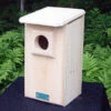 Saw-whet And Screech Owl House -The Birdhouse Chick screech sowl house