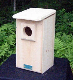 Saw-whet And Screech Owl House