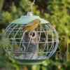Gardman Nuttery Squirrel Proof Seed Feeder 1 Gardman Nuttery Squirrel Proof Seed Feeder -The Birdhouse Chick seed feeder Helix