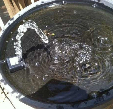 Solar Fountain Pump Kit 3 Solar Fountain Pump Kit