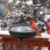 Songbird Spa Heated Deck-Mount Bird Bath 1 Songbird Spa Heated Deck-Mount Bird Bath -The Birdhouse Chick songbird spa heated birdbath