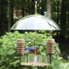 Super Dome Bird Feeder -The Birdhouse Chick super dome bird feeder
