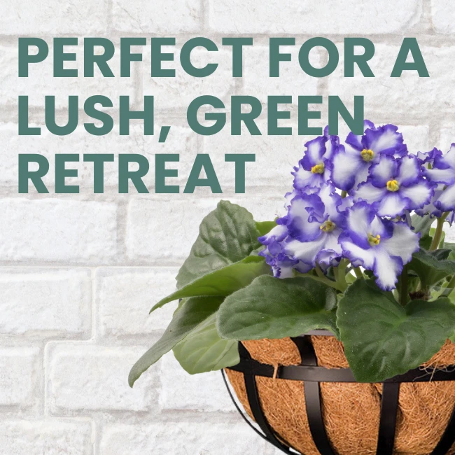 Ironwork Deck Railing Garden Planter – Black Metal Wall Mount Flower Box with Coco Liners (Set of 2) - Image 4