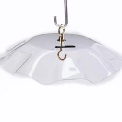 Acrylic Weather Guard-4 Colors 11 Acrylic Weather Guard-4 Colors -The Birdhouse Chick weather guard clear