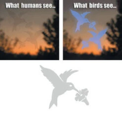 WindowAlert UV Reflective Butterfly Decals – Bird Strike Prevention (4-Pack) 8 WindowAlert UV Reflective Butterfly Decals – Bird Strike Prevention (4-Pack) -The Birdhouse Chick window humming 07c25fd1 2cdb 4719 9f4b b15b8961d08d