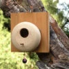 Mod Stoneware Birdhouse -The Birdhouse Chick woodlands birdhouse 2